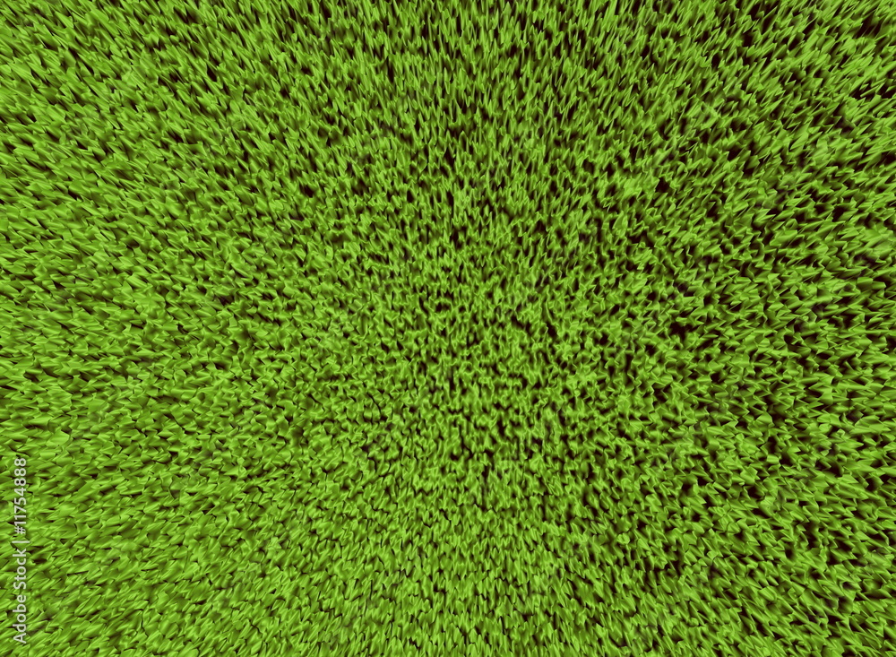 Above grass field texture Above grass field texture