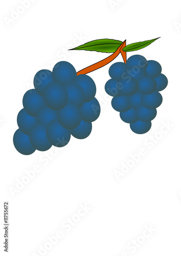 Weintrauben