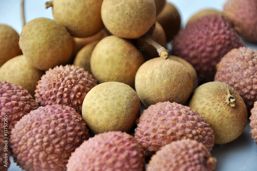 longan longan