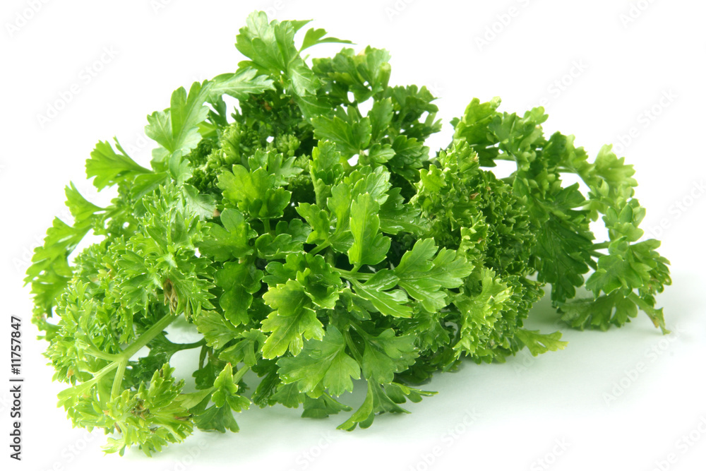 Parsley Parsley