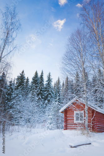 Small wooden house in winter forest