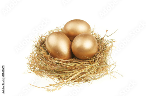 Golden eggs in nest photo