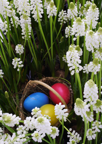 Easter basket hidden in the garden photo