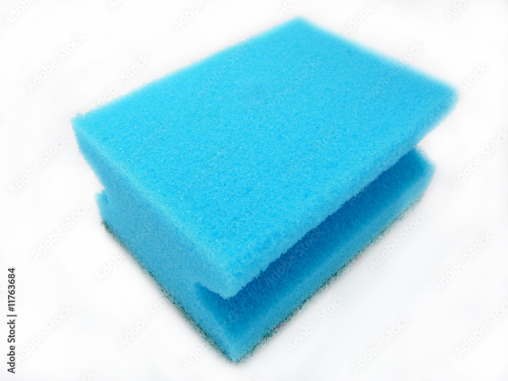 Sponge Sponge