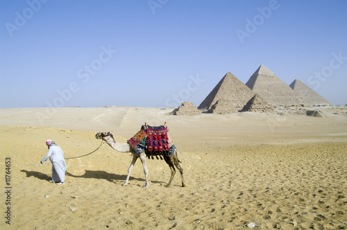 Fotografie Egyption desert walk