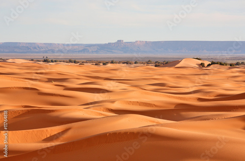 Sahara desert