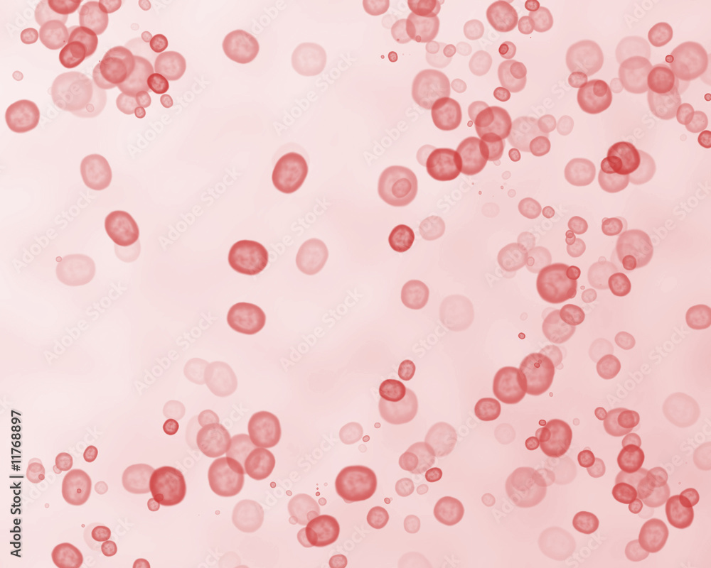 Photo &amp; Art Print Red blood cells, Argus