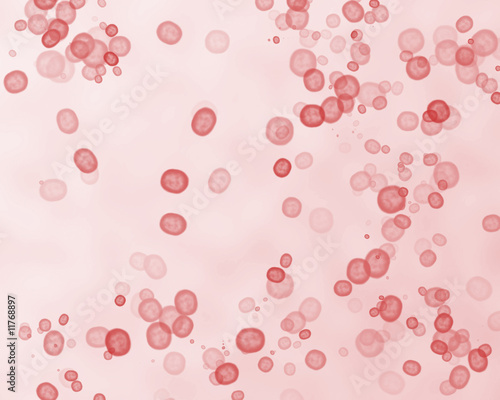 Red blood cells