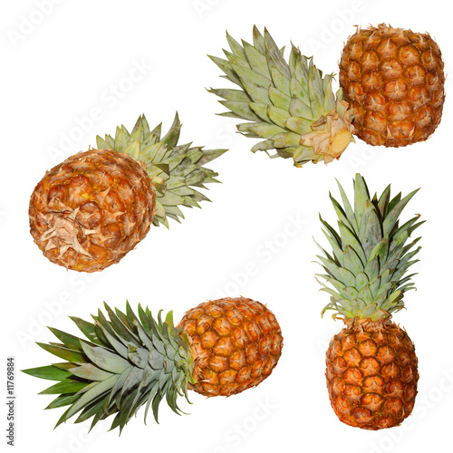 Pineapple isolated on a white background.