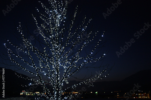 Beleuchteter Baum