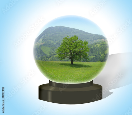 Vision of the nature in the crystalball photo