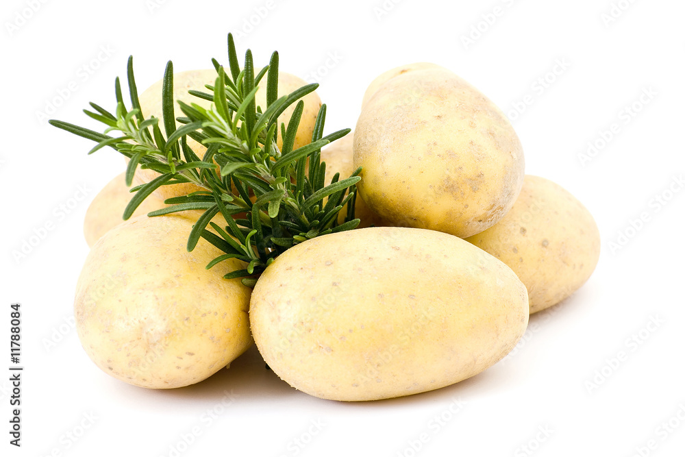 potatoes and rosemary potatoes and rosemary