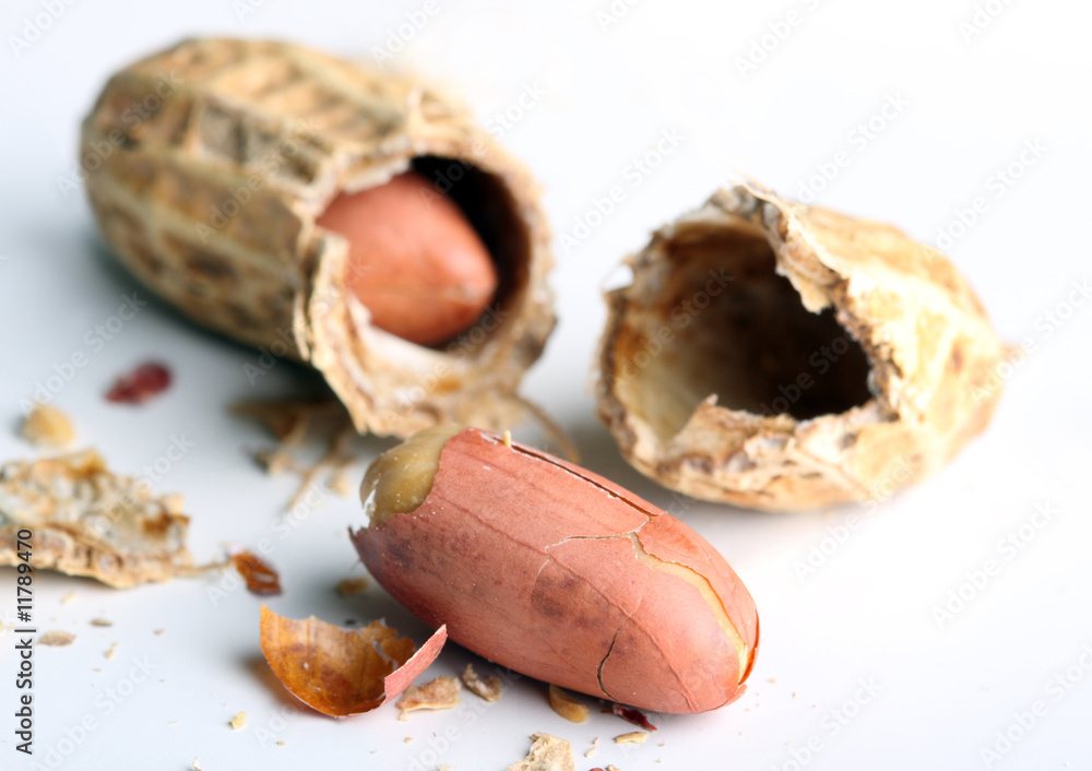 Peanuts on white background Peanuts on white background