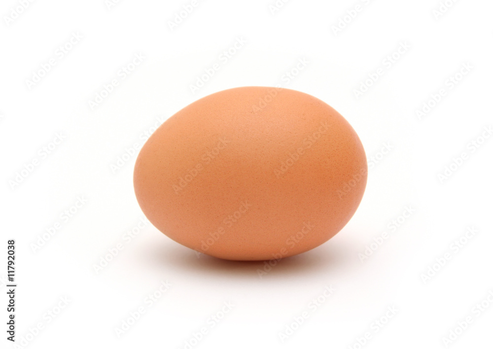 Egg