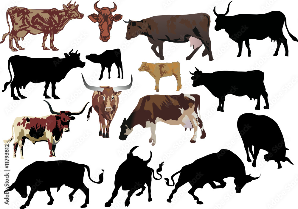 cow and bull set cow and bull set