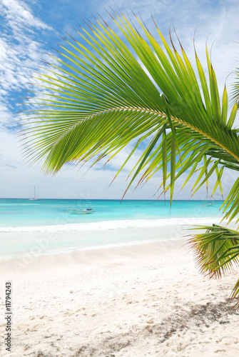 Caribbean beach © haveseen