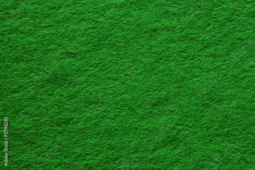 Fotografi macro paper green