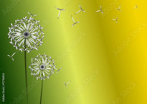 pusteblume