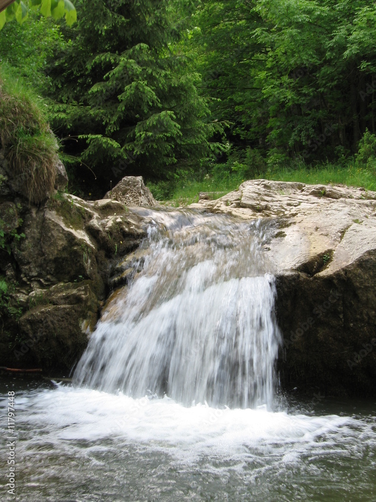Naklejka premium Rezerwat Białej Wody