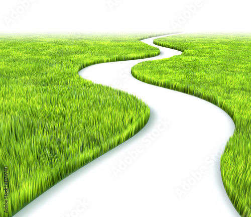 Path in grass