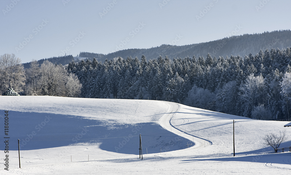 verschneite strasse