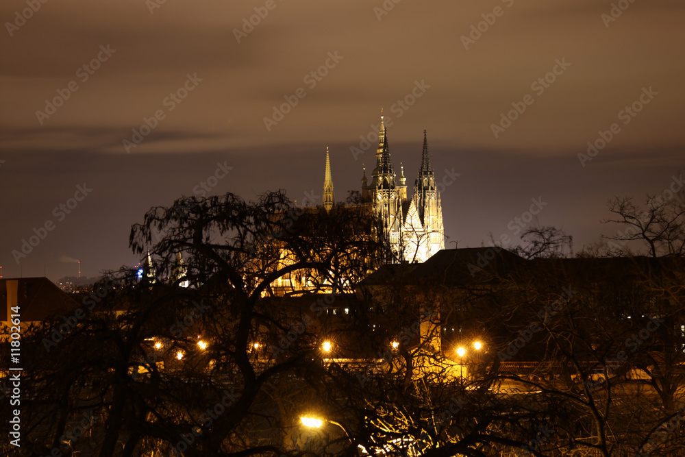 Night view of St.Vitus cathedral