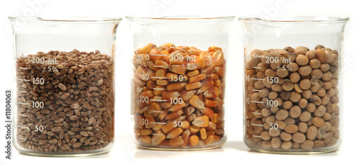 wheat, corn, soy seeds grain