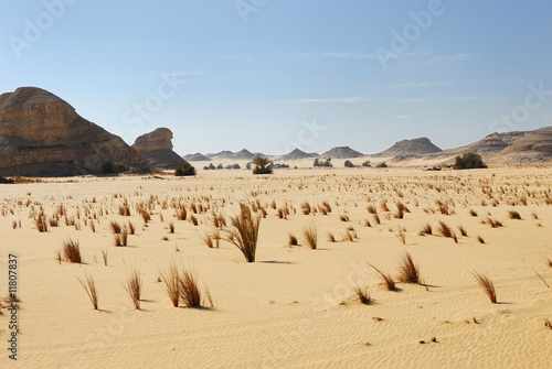 Sahara Desert, Egypt