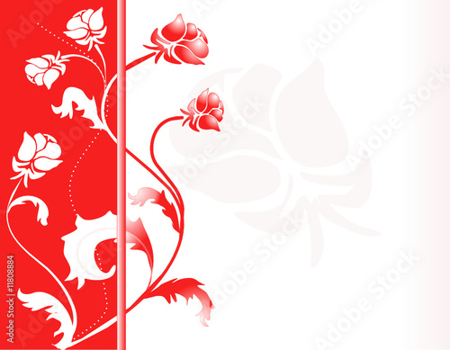 hintergrund rosen