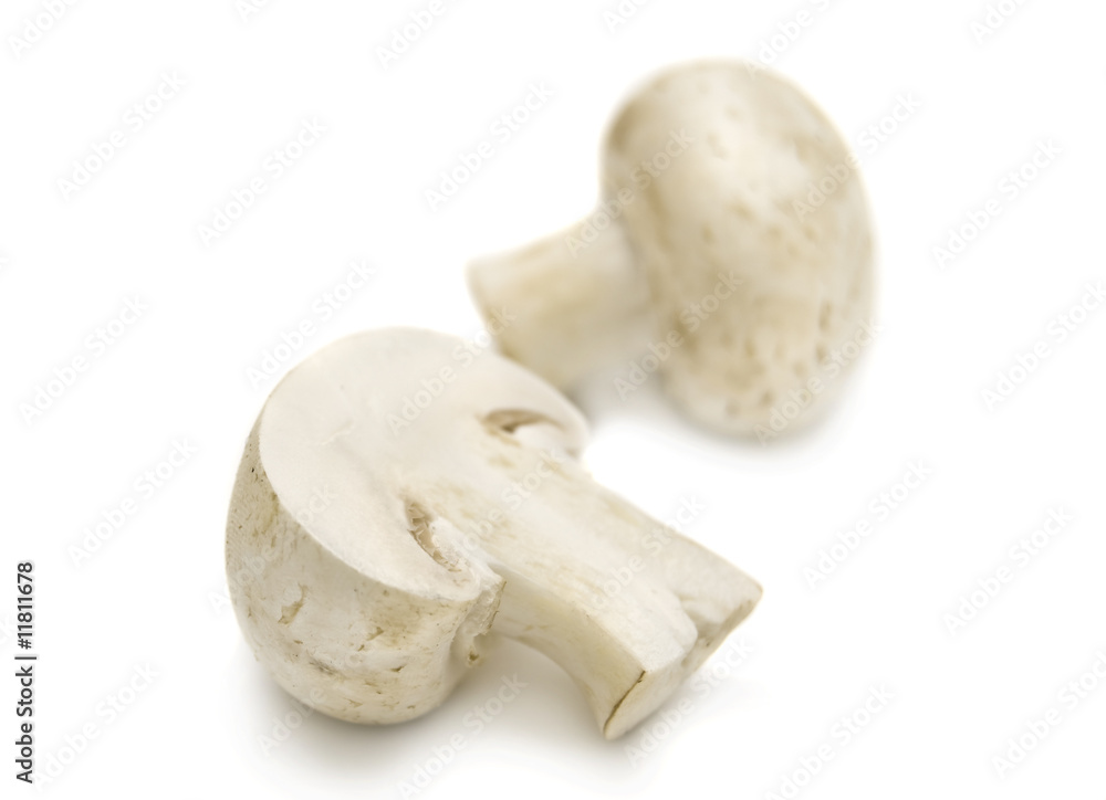 Fresh mushrooms isolated on a white background Fresh mushrooms isolated on a white background