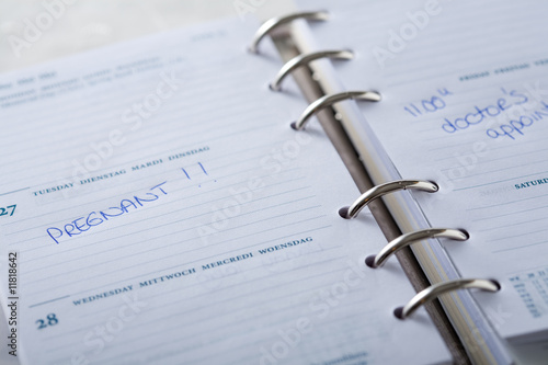 Wallpaper Mural Pregnant! Torontodigital.ca