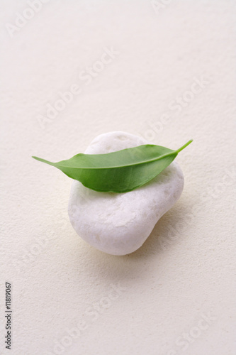 Photography zen garden stone