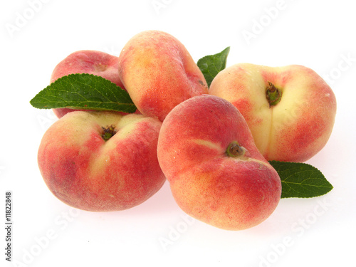 Wildpfirsiche/wild peaches