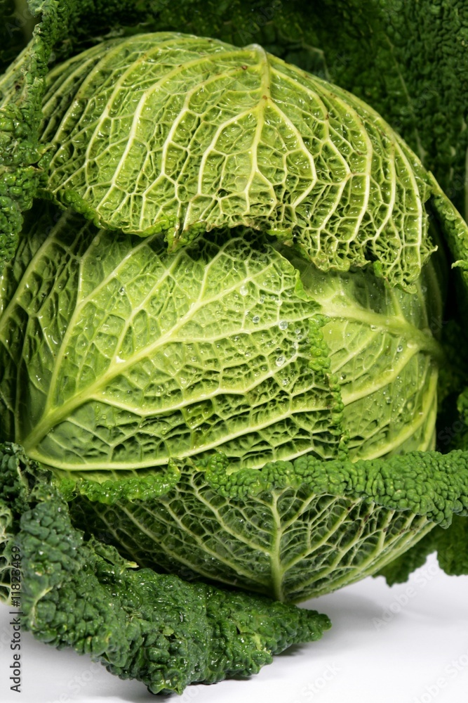 Fototapeta premium dietary cabbage