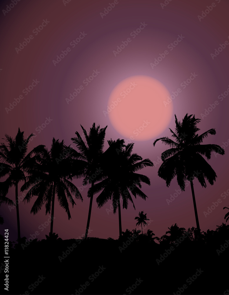 Tropical sunset, palm tree silhouette