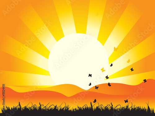Landscape, nature, grass and butterflies, sun