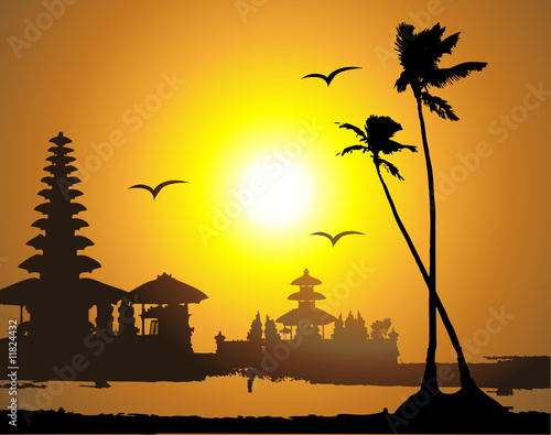 Tropical sunset, palm tree silhouette