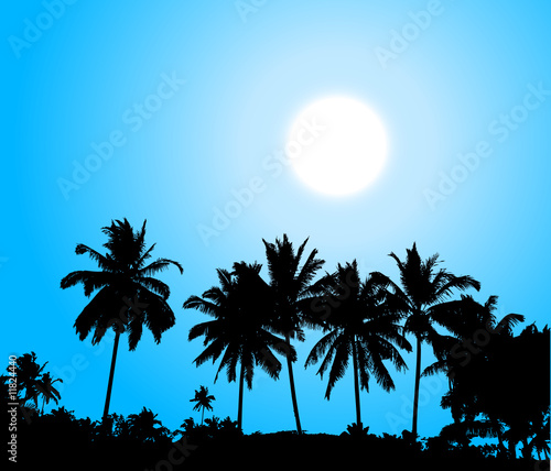 Tropical sunset, palm tree silhouette