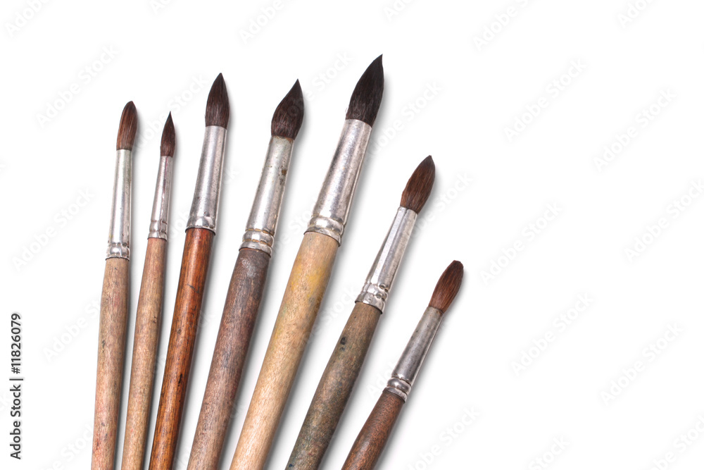 Fototapeta premium paintbrushes for watercolor