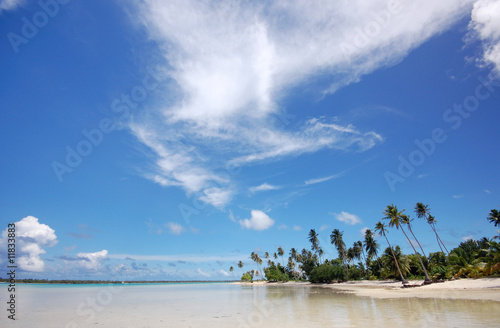 Blue sky over white sand beach and coconut trees  Maupiti