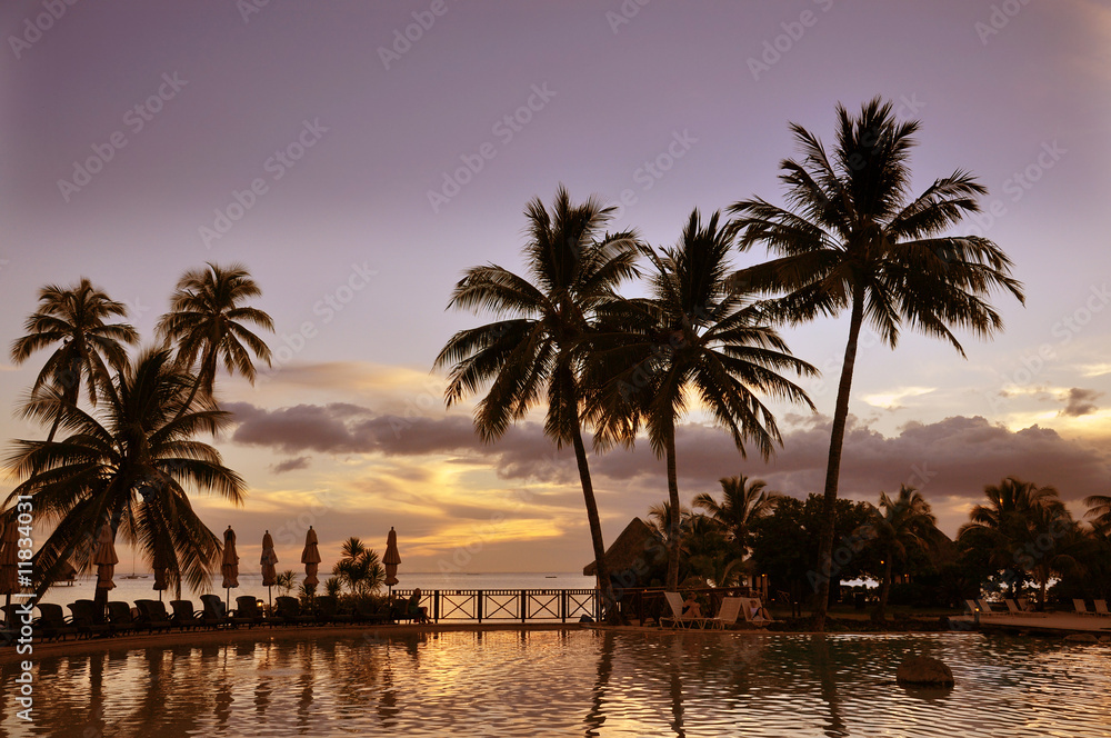Sunset behind palm trees, tropical, Tahiti, French Polynesia
