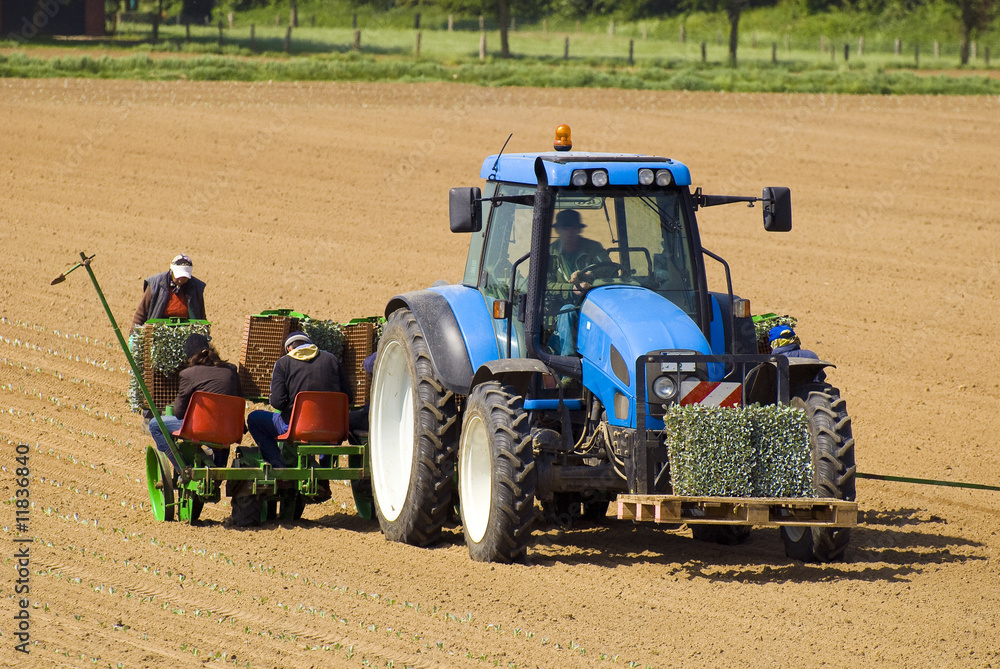 Obraz premium Traktor mit Pflanzmaschine