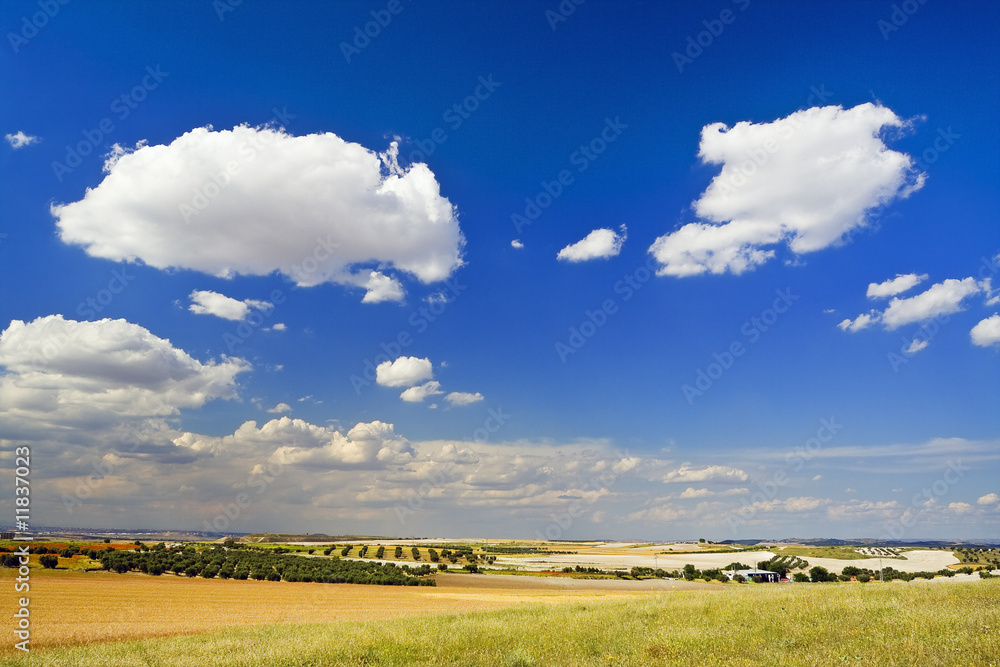 Fototapeta premium Campos de Pinto