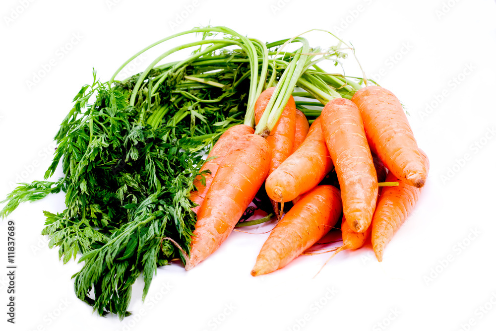 Fresh organic carrots with stems isloated on white Fresh organic carrots with stems isloated on white