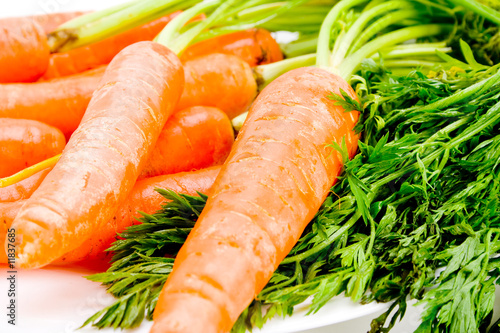 Detail off fresh organic carrots with stems