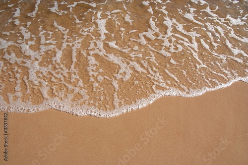 foam bathing the beach shoreline