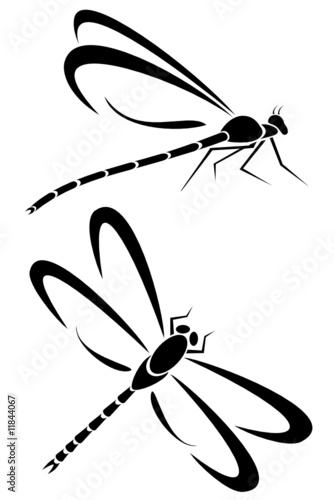 Two dragonfly tribal tattoos