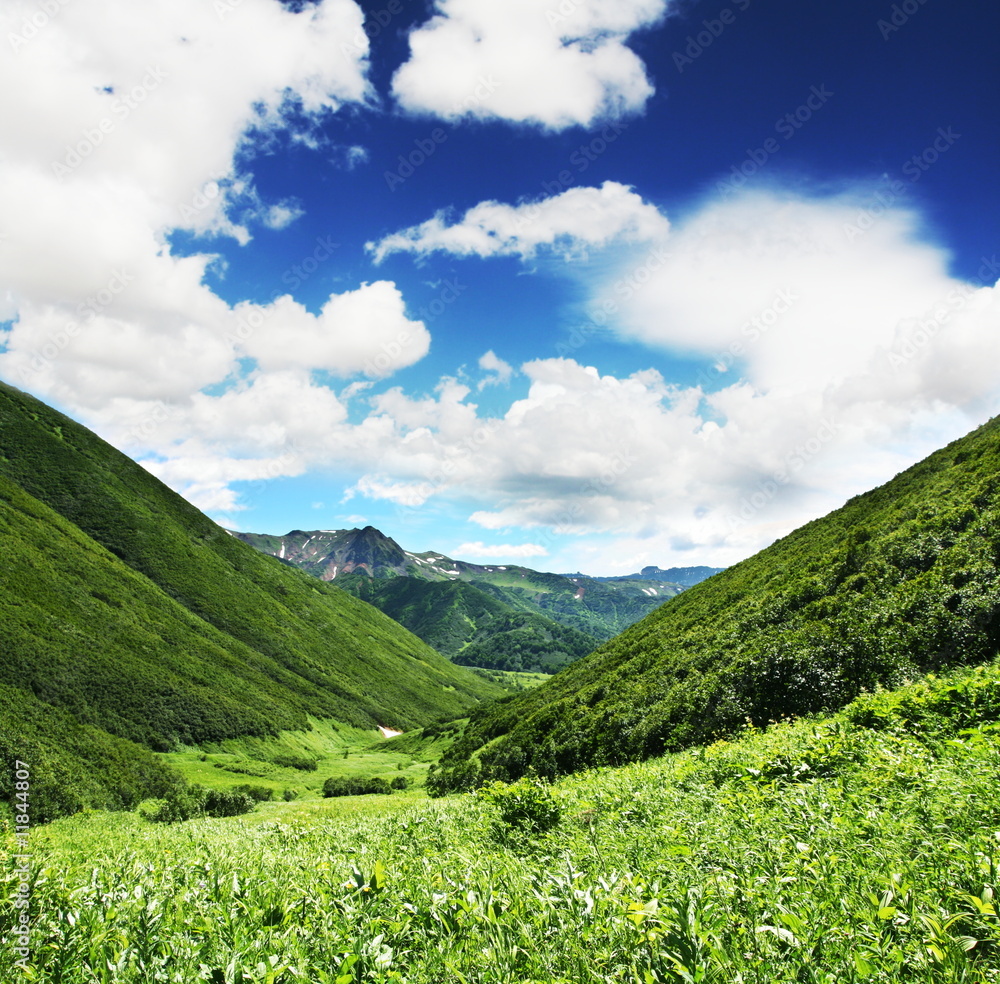 Obraz premium Grassland