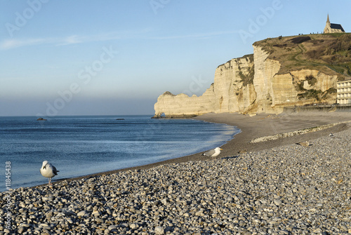 Falaises d'Etretat #2 photo