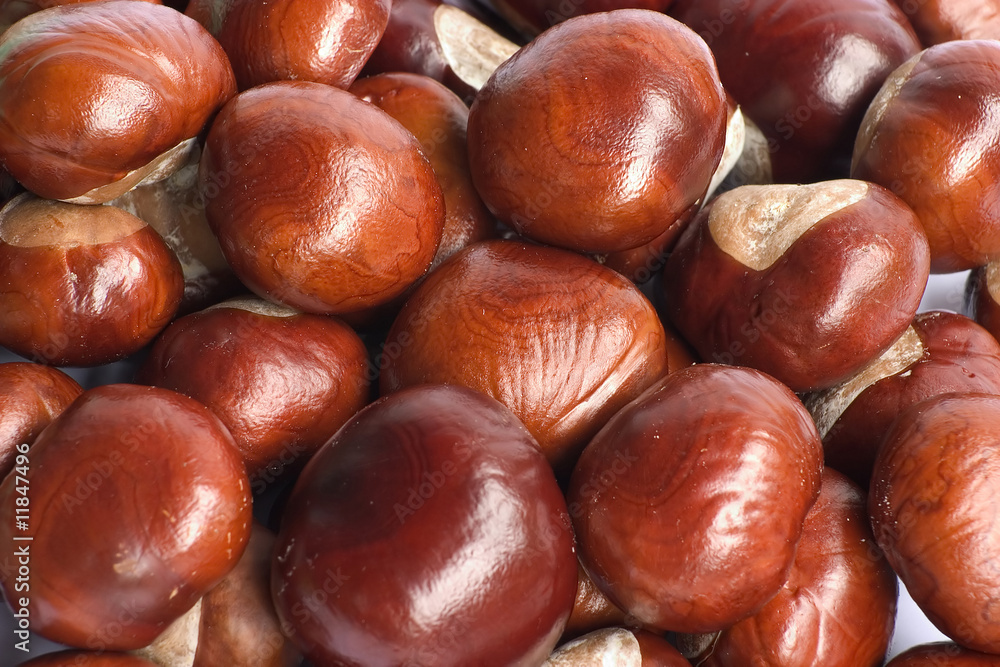 chestnuts chestnuts
